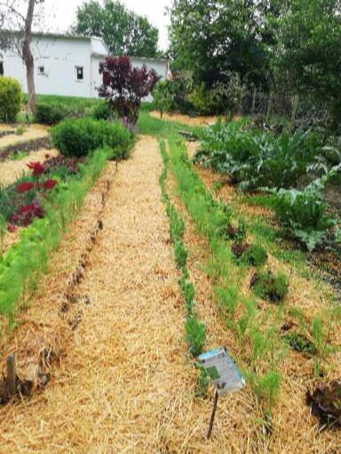 Au Coeur Du Jardin Villa La Boussac Екстериор снимка
