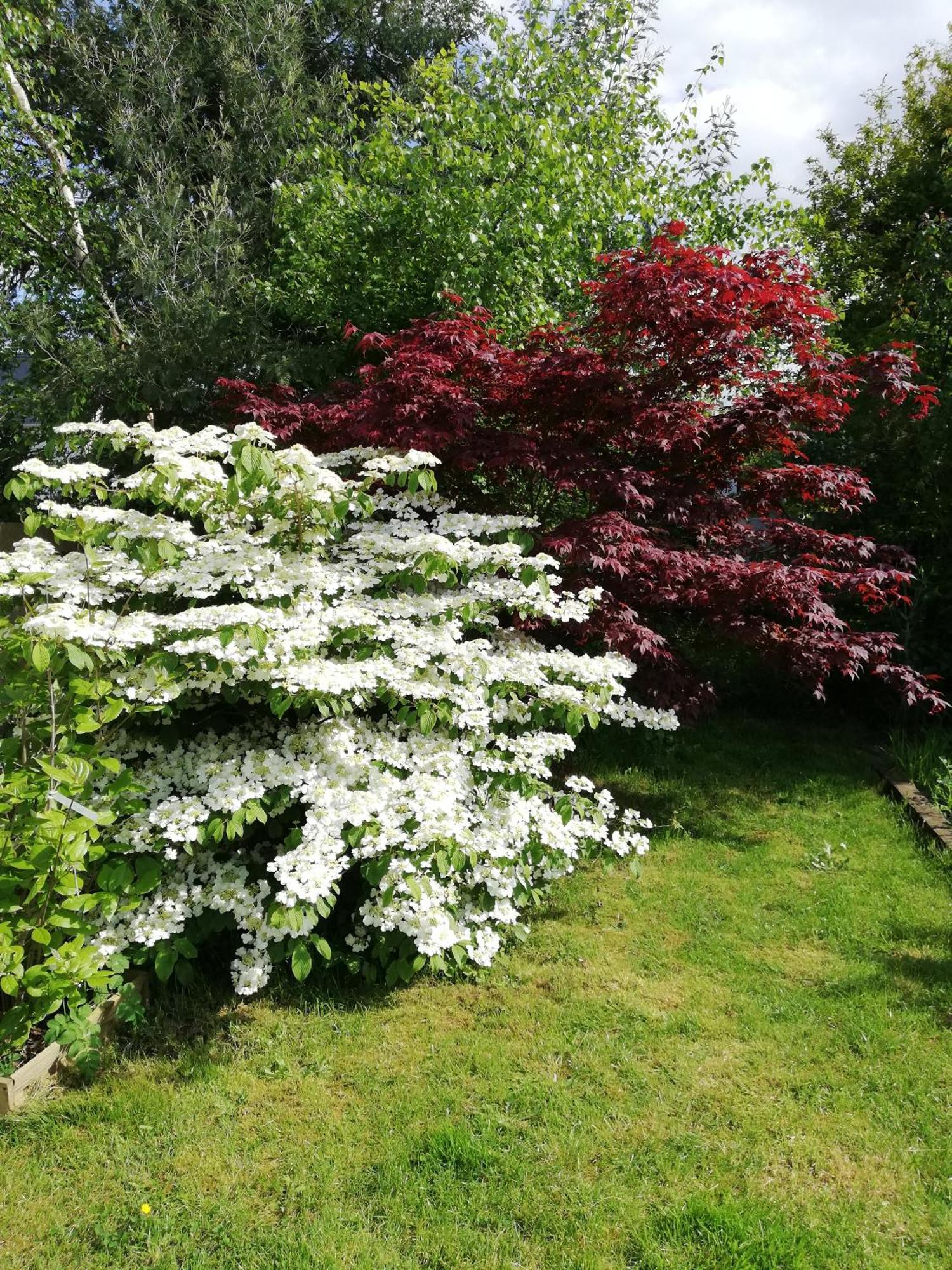 Au Coeur Du Jardin Villa La Boussac Екстериор снимка